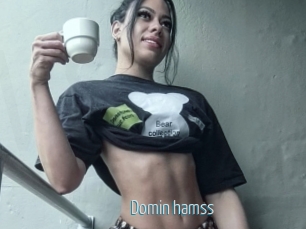 Domin_hamss