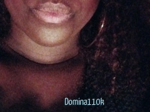 Domina110k