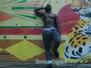 Dominantbigdick