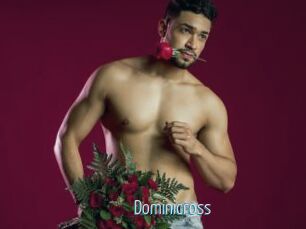 Dominicross