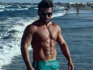 Domluc