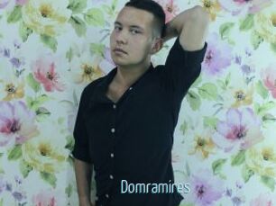 Domramires
