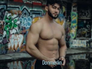 Donmerlin