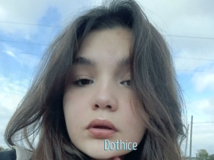 Dothice