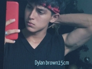 Dylan_brown15cm