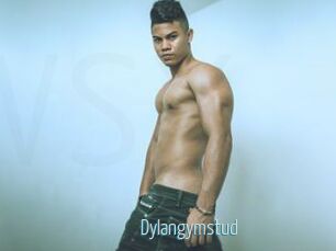 Dylangymstud