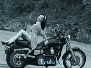 Dynaharley