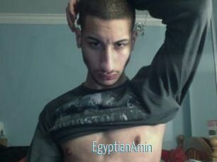 EgyptianAmin