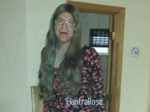 Elantra_Rose