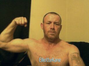 Elliotte_Kane