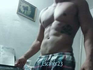 Escanor23