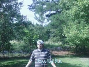 Escorbar_Blue