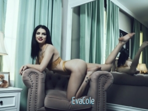 EvaCole