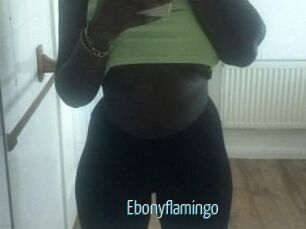 Ebony_flamingo