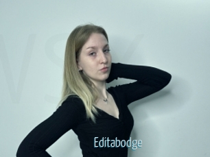 Editabodge