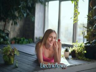 Electricflower