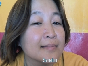 Elenatin