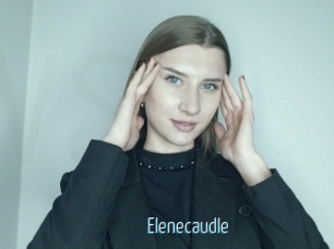 Elenecaudle