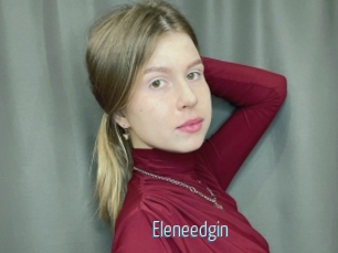 Eleneedgin