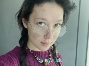 Elenegarfield