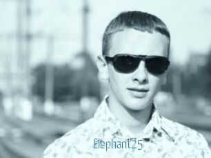 Elephant25