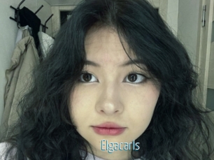 Elgacarls