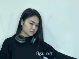 Elgacubitt