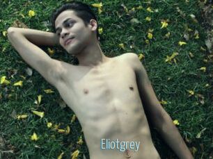Eliotgrey