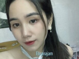 Elisanajam