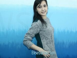 Elisebarberton