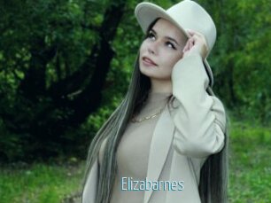 Elizabarnes