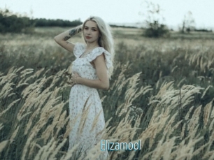 Elizamool