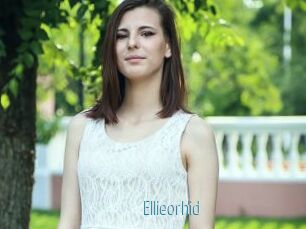 Ellieorhid