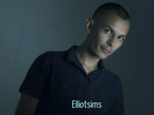 elliotsims Video Sexe
