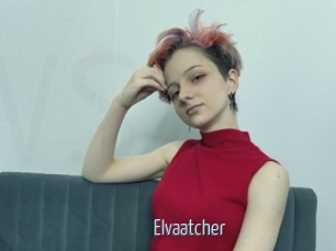 Elvaatcher