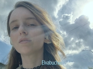 Elvabucher