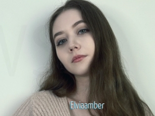 Elviaamber