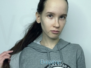 Elvinaabner