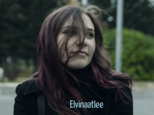 Elvinaatlee