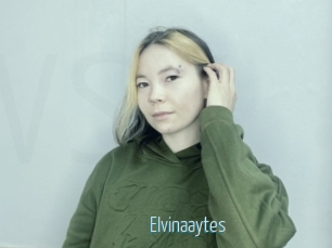 Elvinaaytes