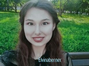 Elvinaberner