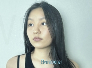 Elvinaborer