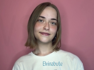 Elvinabute