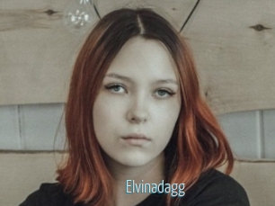 Elvinadagg