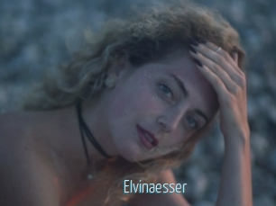 Elvinaesser