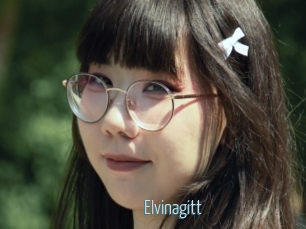 Elvinagitt