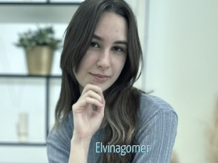 Elvinagomer