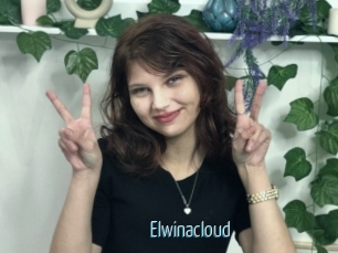 Elwinacloud