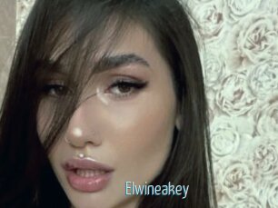 Elwineakey