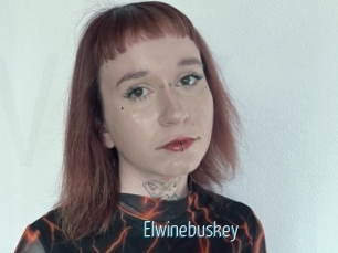 Elwinebuskey